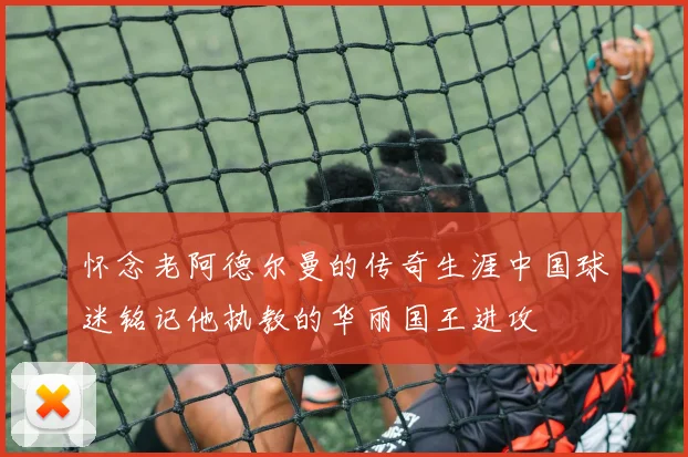 怀念老阿德尔曼的传奇生涯中国球迷铭记他执教的华丽国王进攻